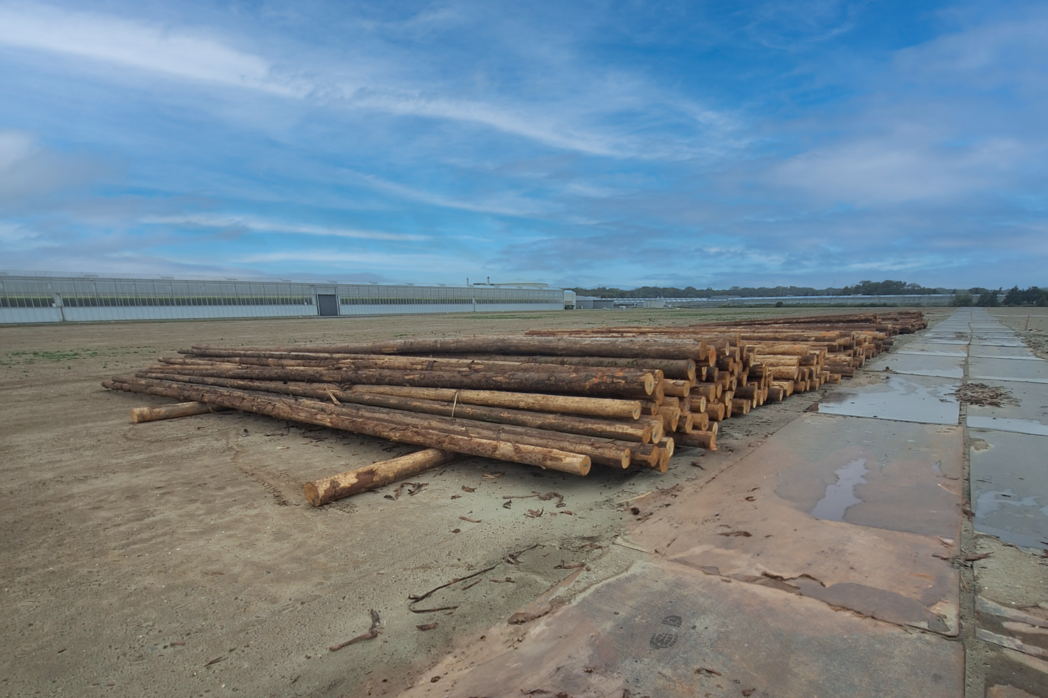 Stack with wooden piles.