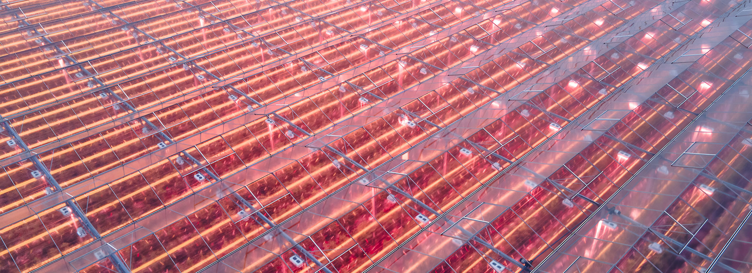 Illuminated greenhouse from above