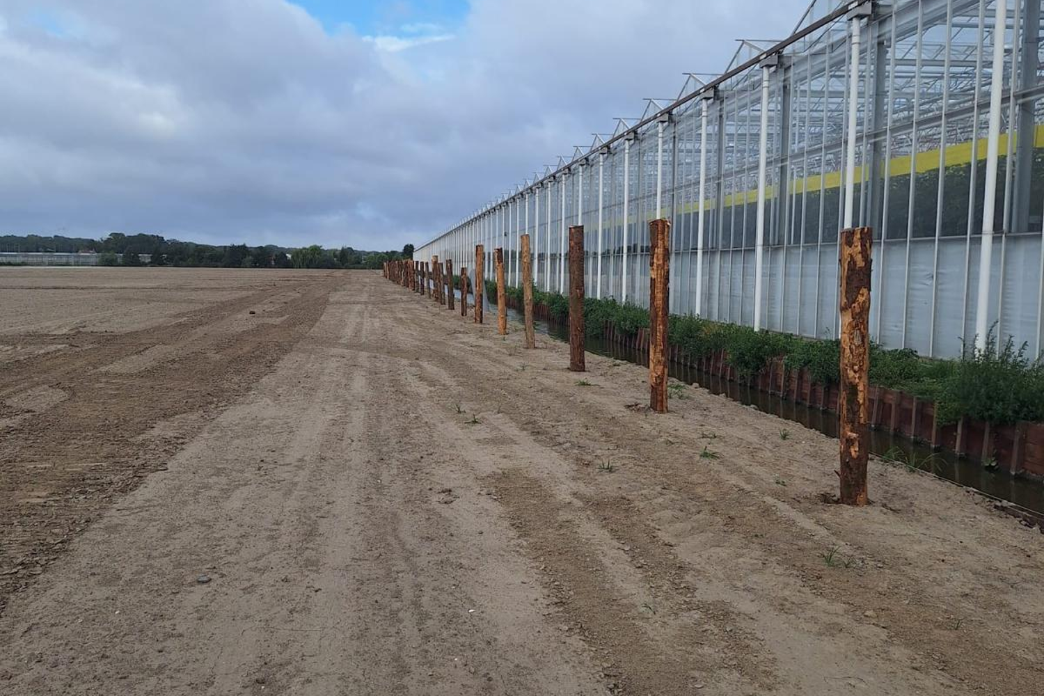 Wooden piles in the sand with a greenhouse on the right.