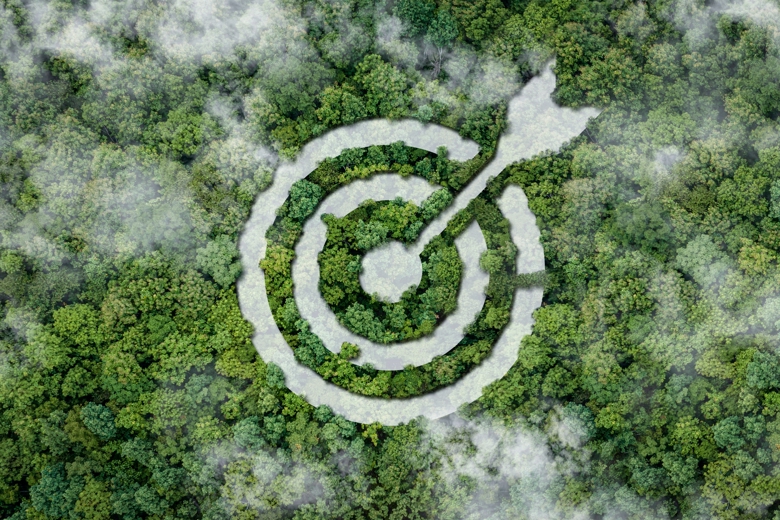 top view of green forest with circles drawn and target arrow