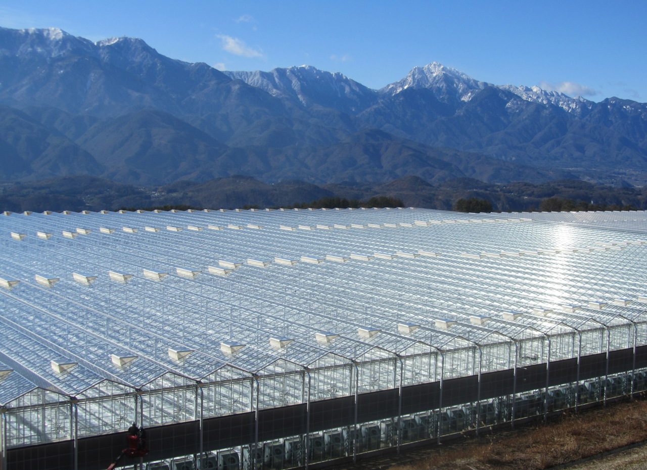 glass greenhouse for vegetable cultivation from above in Japan