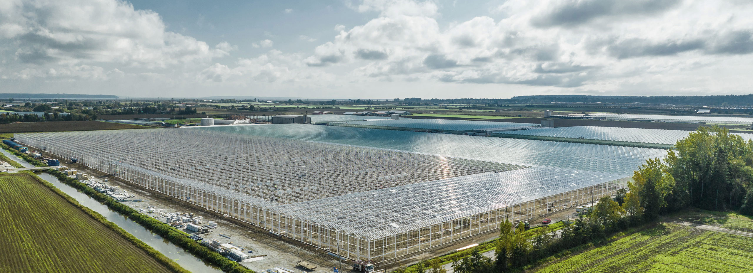 The Largest Illuminated Greenhouse Vegetable Facility In Western North America