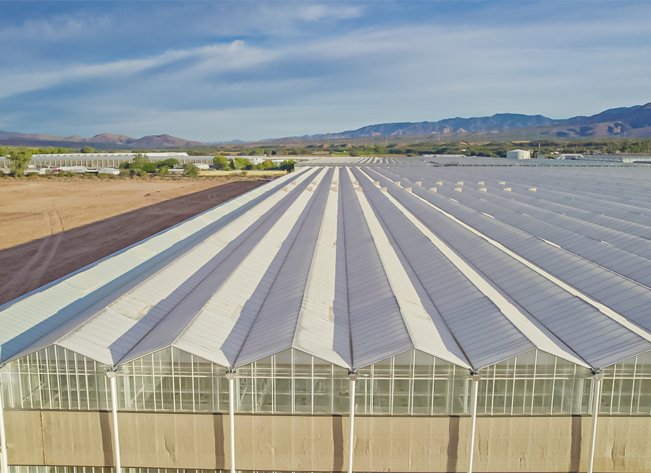 top-down view of a greenhouse in Mexico