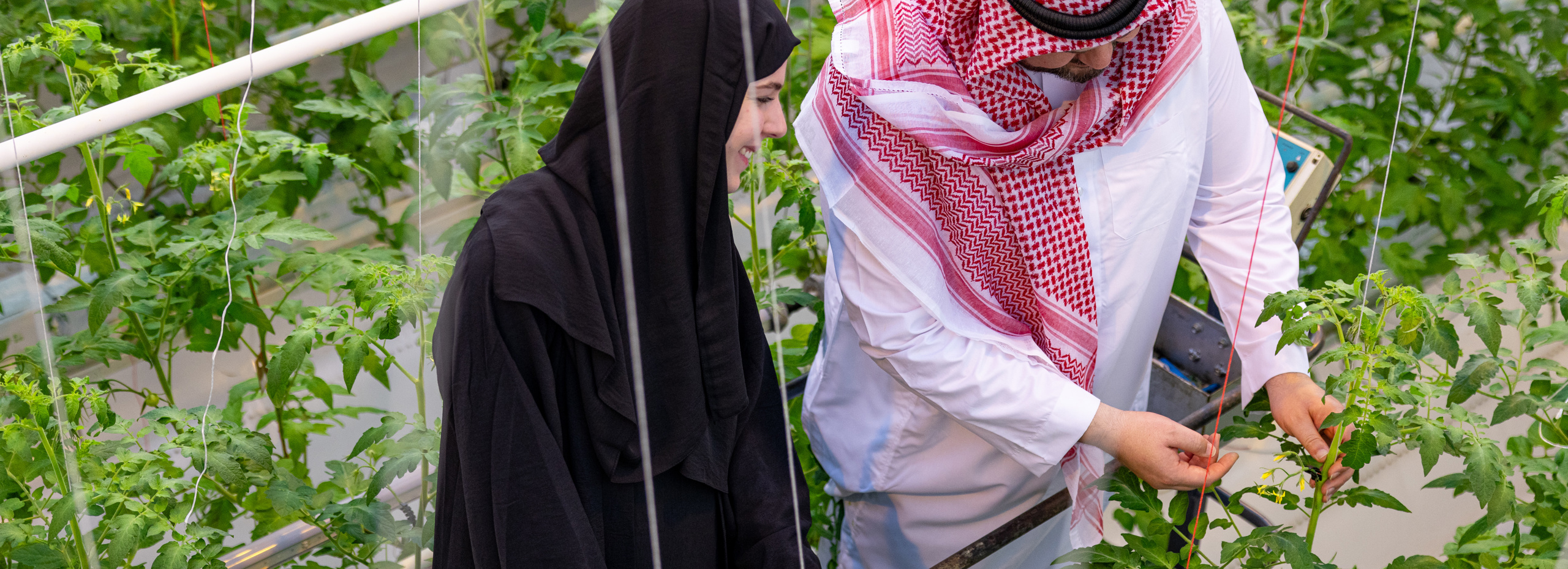 عربيان يعملان في دفيئة زراعية