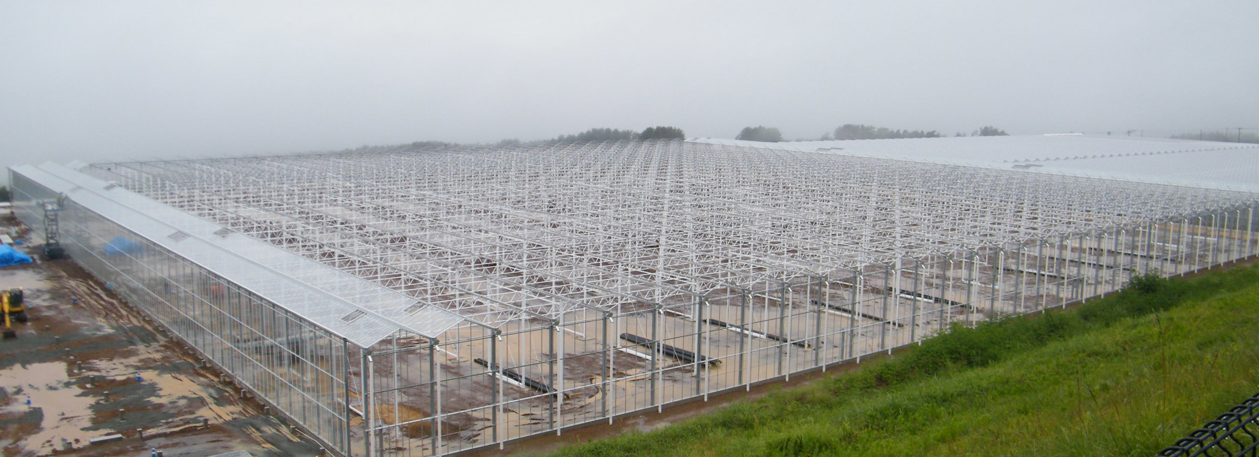 greenhouse in the mist from above