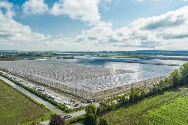 Windset greenhouse in its entirety from above