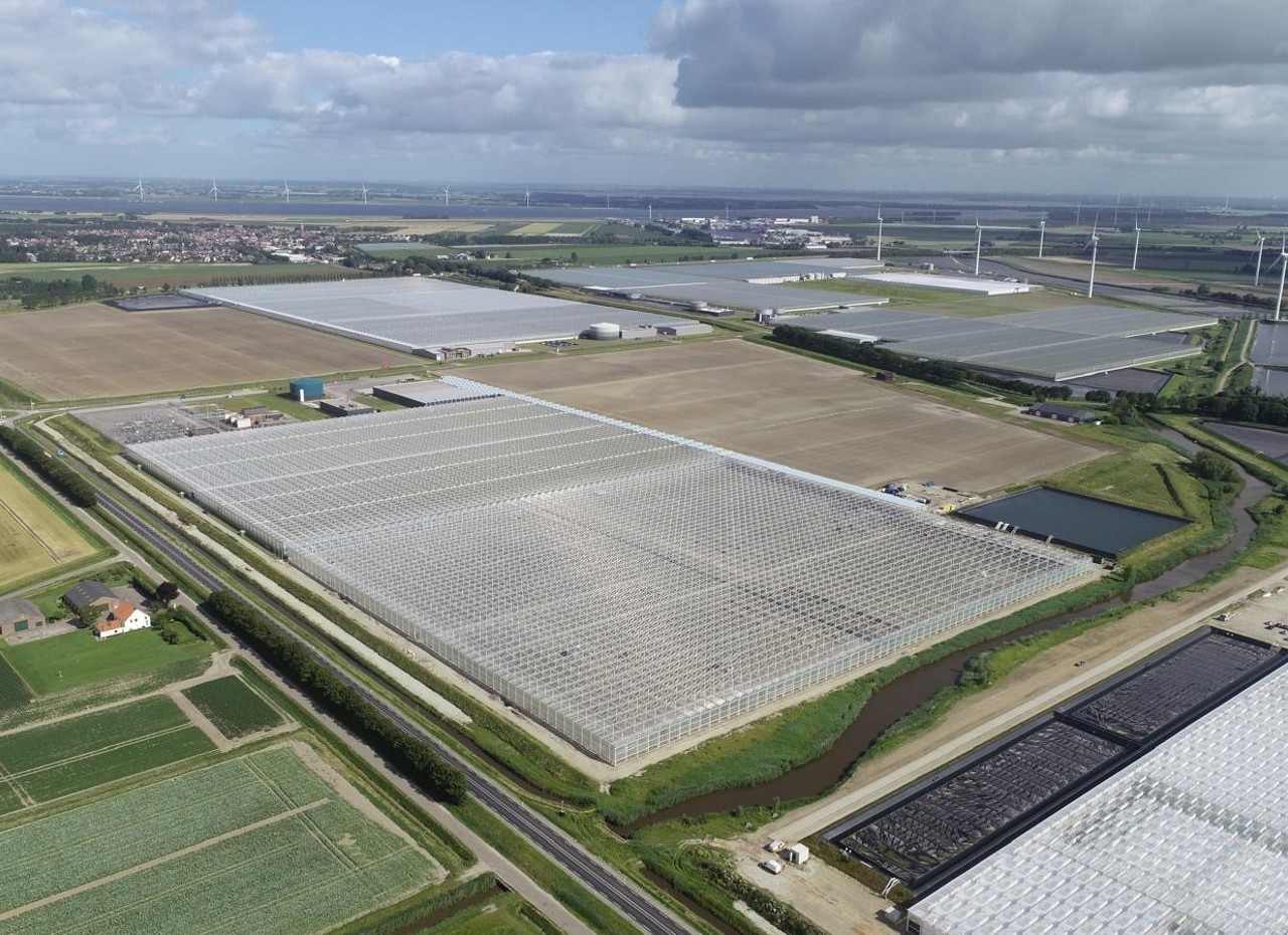 top view of a glass greenhouse in Dutch landscape and windmills