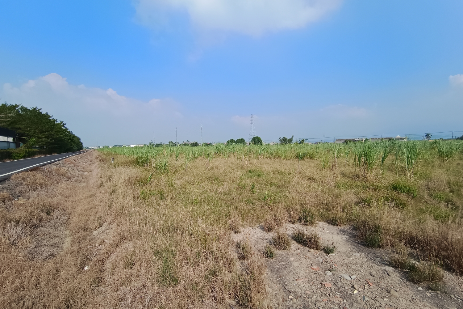 building land